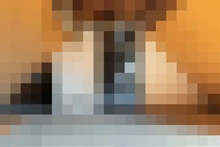 Suderein 52 Tytsjerk thumbnail 26