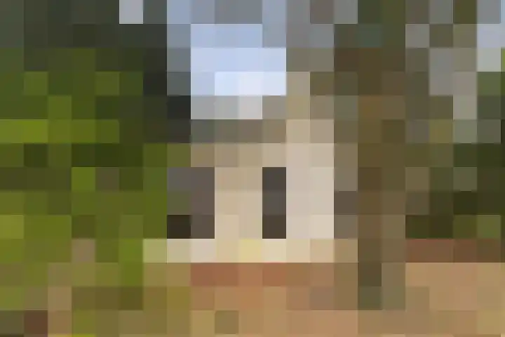 Suderein 52 Tytsjerk thumbnail 28
