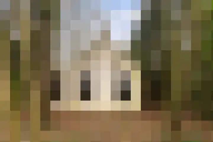 Suderein 52 Tytsjerk thumbnail 29