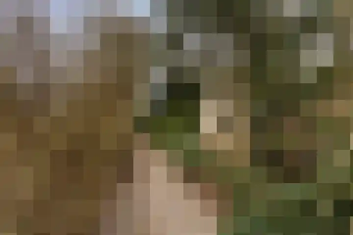 Suderein 52 Tytsjerk foto 3