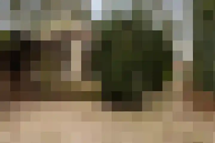 Suderein 52 Tytsjerk thumbnail 30