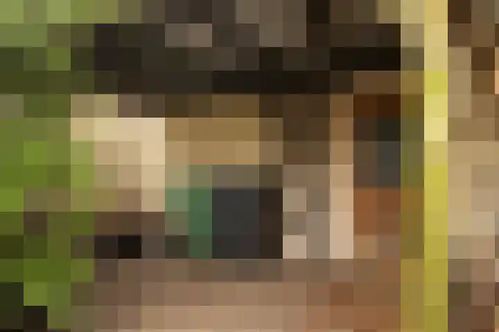 Suderein 52 Tytsjerk thumbnail 31