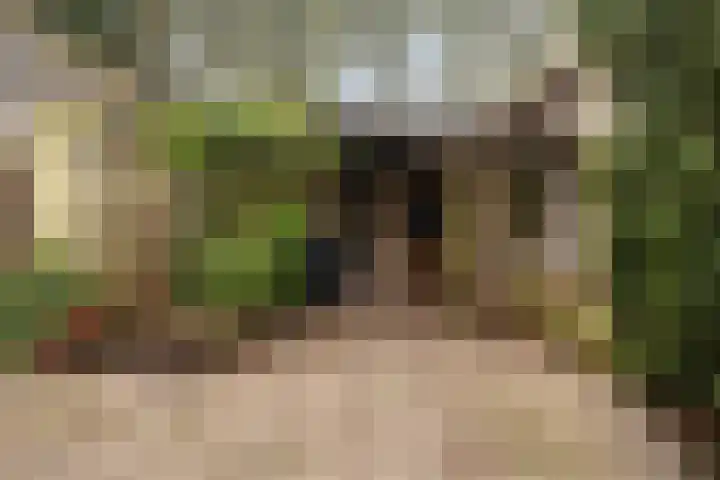Suderein 52 Tytsjerk thumbnail 32