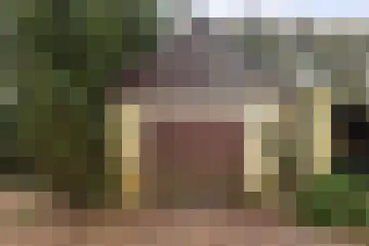 Suderein 52 Tytsjerk thumbnail 33