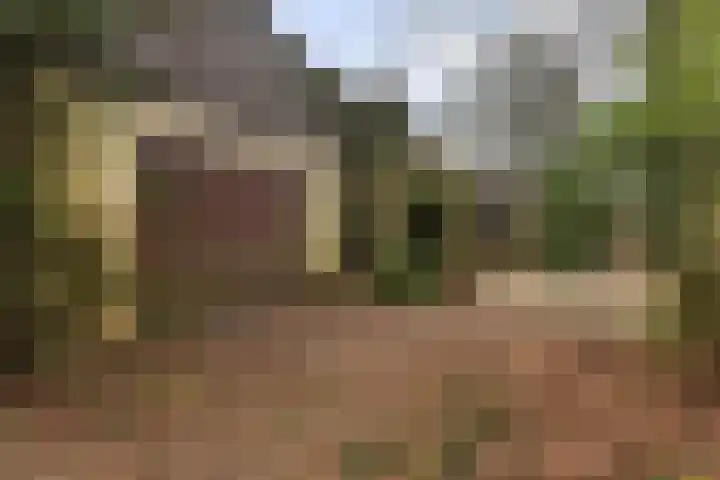 Suderein 52 Tytsjerk thumbnail 34