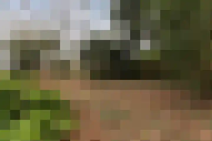 Suderein 52 Tytsjerk thumbnail 35
