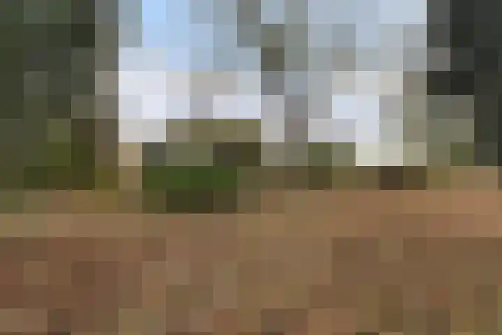 Suderein 52 Tytsjerk thumbnail 36