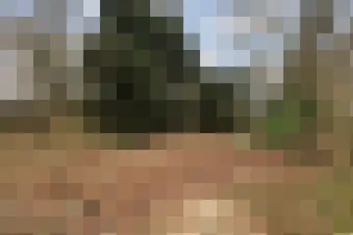 Suderein 52 Tytsjerk thumbnail 37