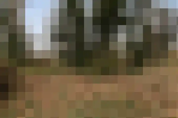 Suderein 52 Tytsjerk thumbnail 38
