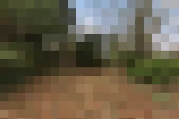 Suderein 52 Tytsjerk thumbnail 39