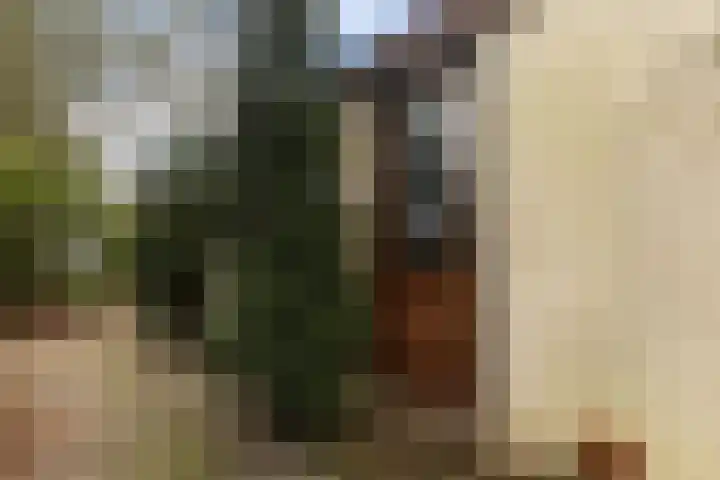 Suderein 52 Tytsjerk thumbnail 5
