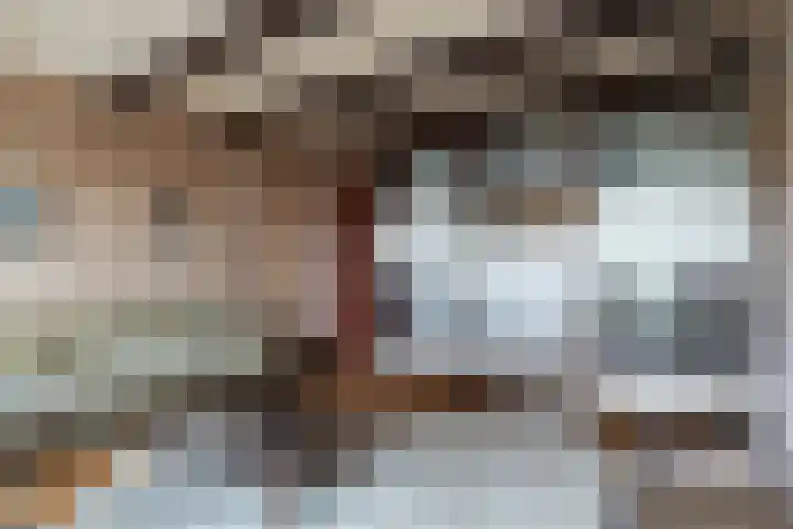 Suderein 52 Tytsjerk thumbnail 9