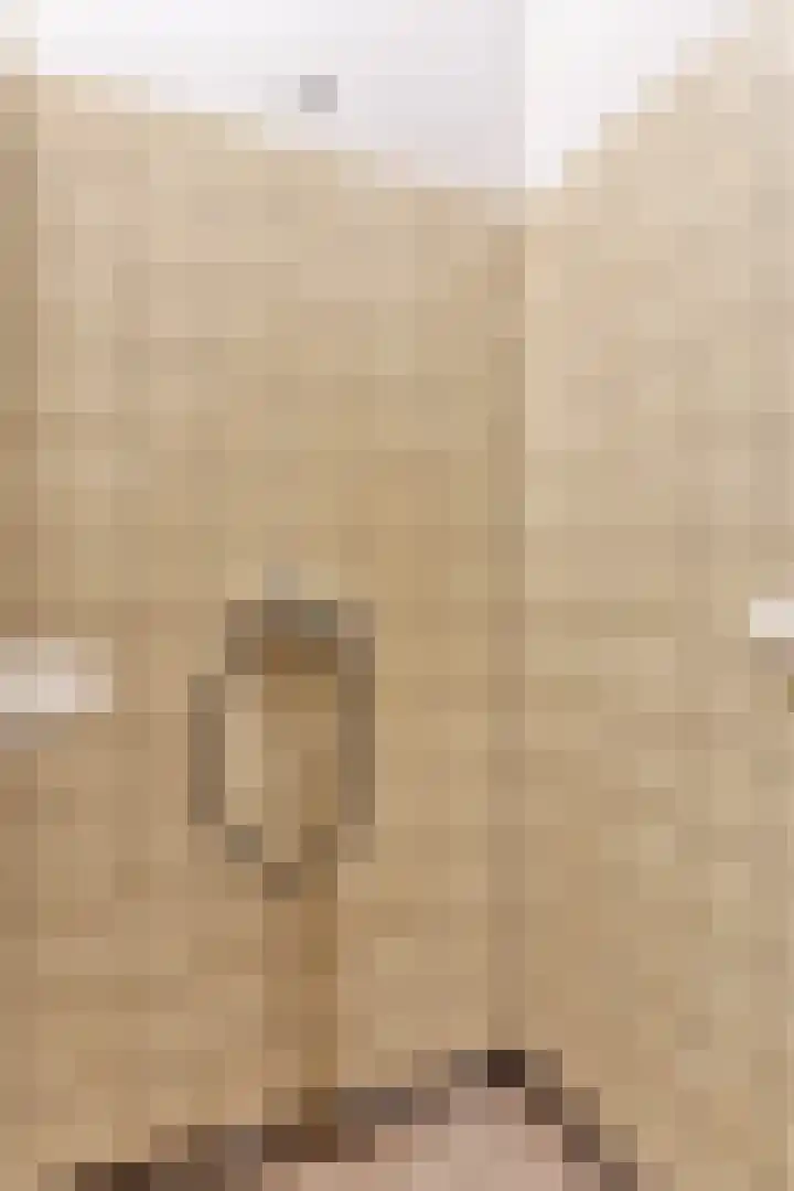 Suderein 7 Tytsjerk thumbnail 14