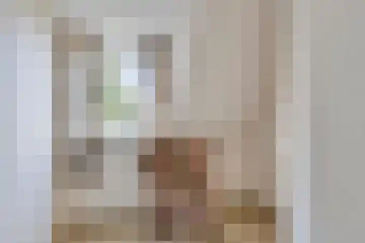 Suderein 7 Tytsjerk thumbnail 18
