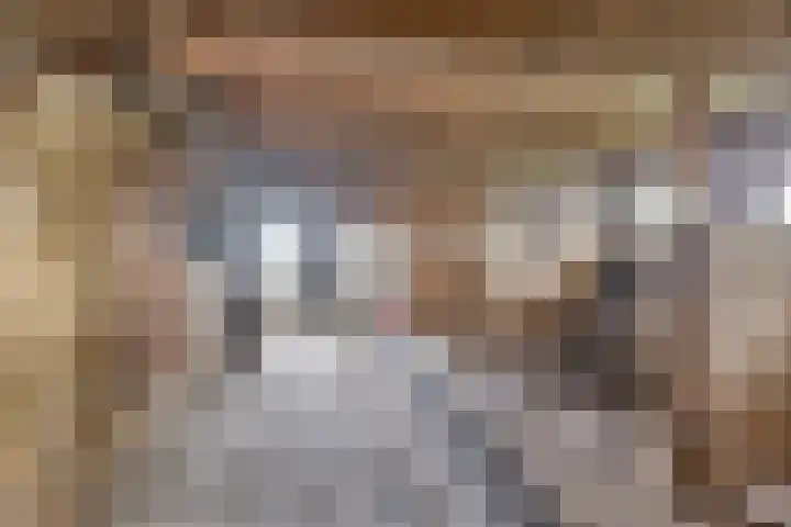 Suderein 7 Tytsjerk thumbnail 20