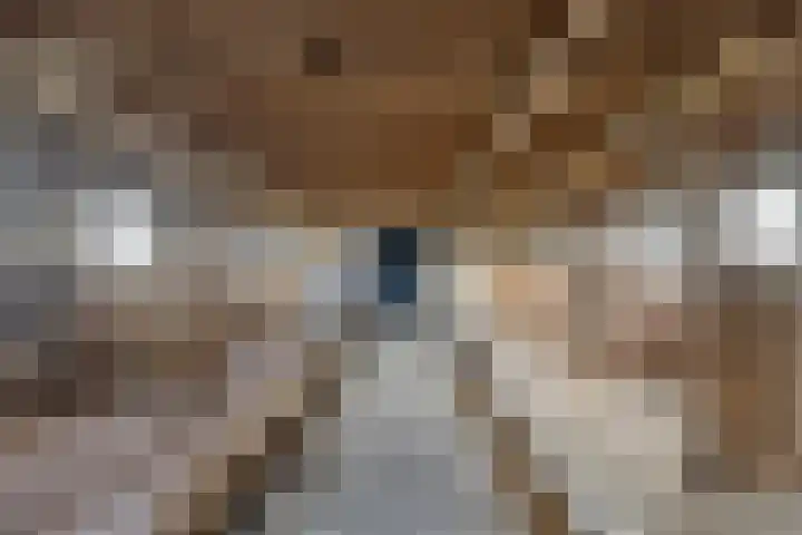 Suderein 7 Tytsjerk thumbnail 22