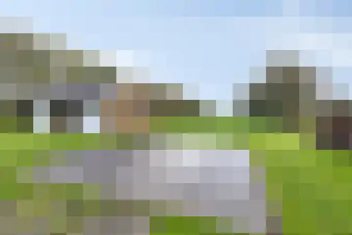 Suderein 7 Tytsjerk thumbnail 24