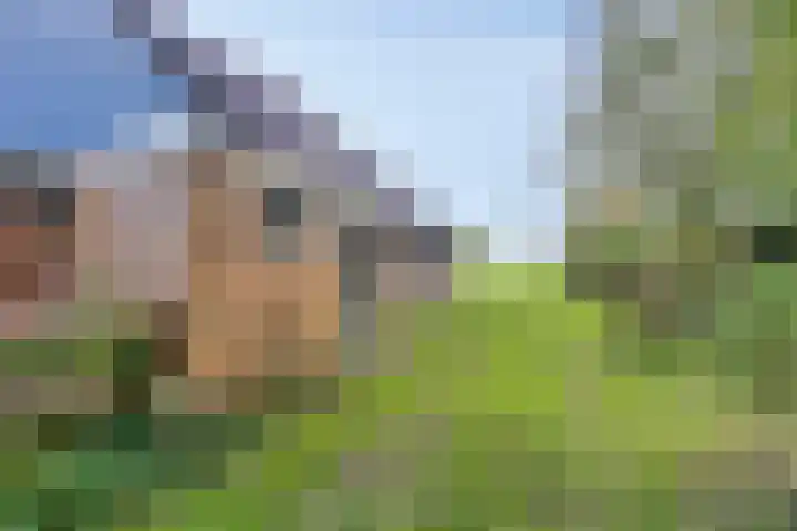 Suderein 7 Tytsjerk thumbnail 25