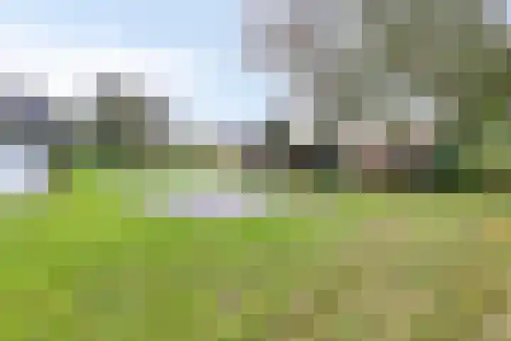 Suderein 7 Tytsjerk thumbnail 26