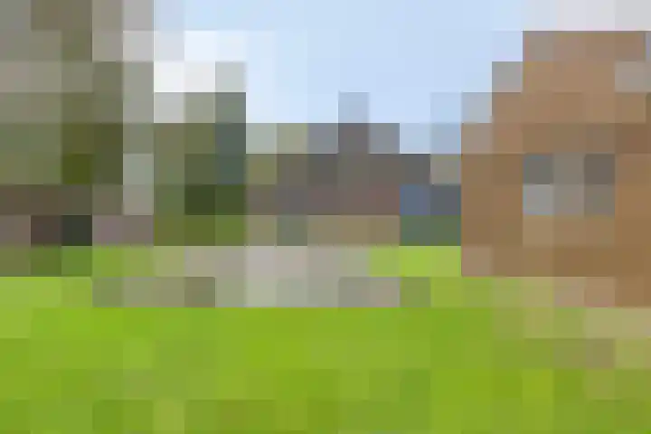Suderein 7 Tytsjerk thumbnail 29