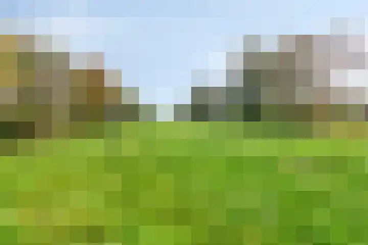 Suderein 7 Tytsjerk thumbnail 30