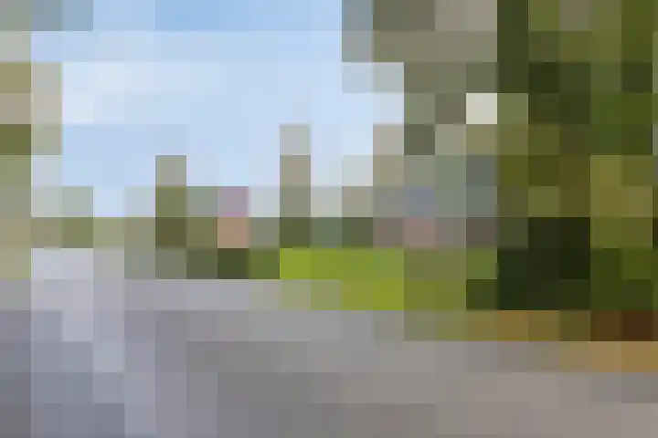 Suderein 7 Tytsjerk thumbnail 31