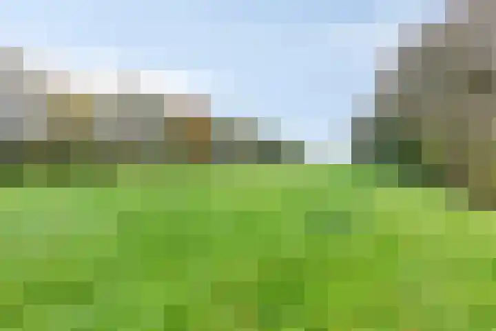 Suderein 7 Tytsjerk thumbnail 5