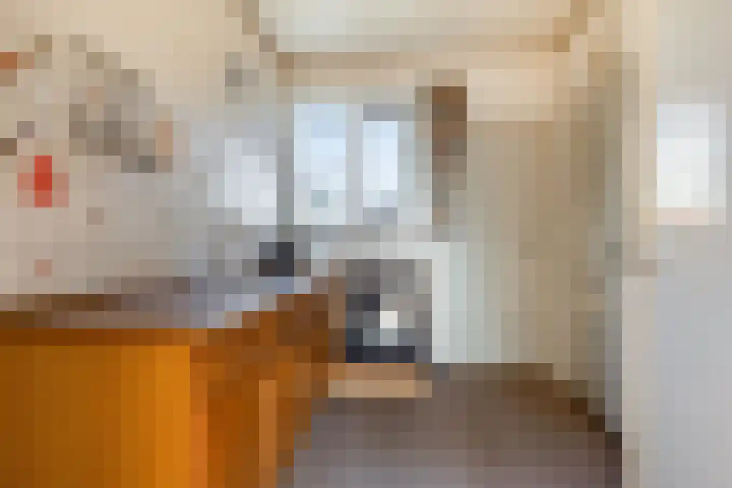 Suderein 9 Tytsjerk thumbnail 17