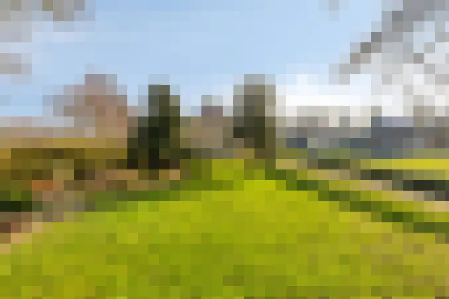 Suderein 9 Tytsjerk foto 2