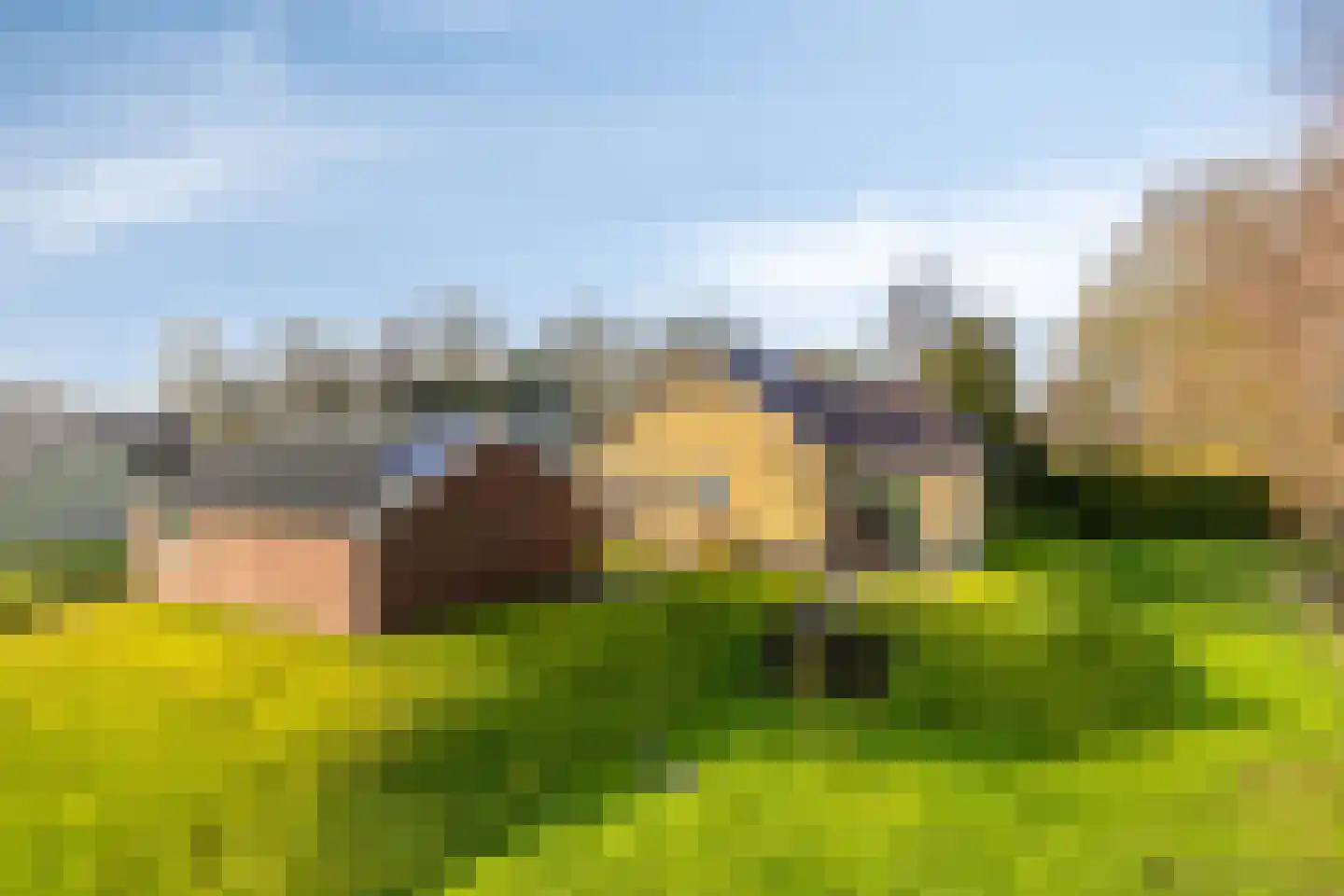 Suderein 9 Tytsjerk foto 3