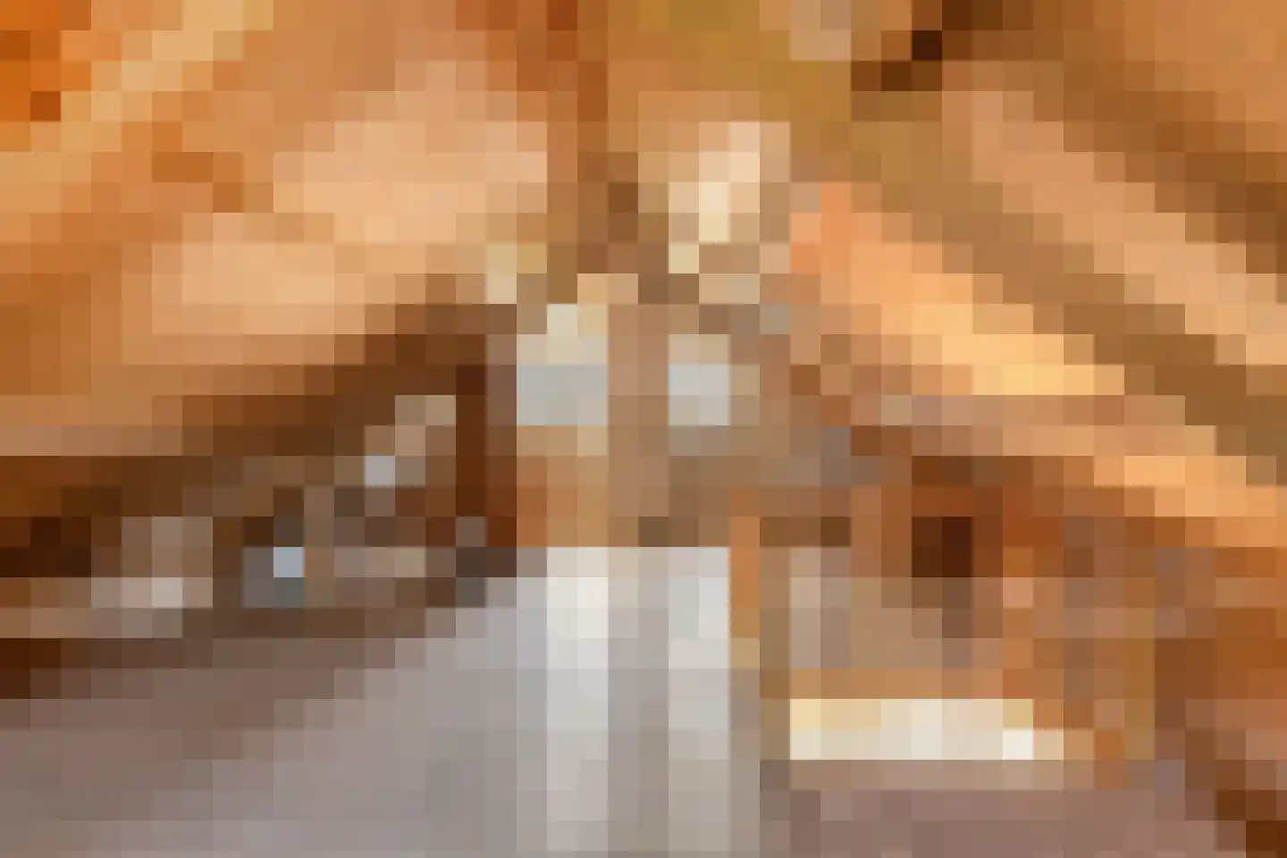 Suderein 9 Tytsjerk thumbnail 31
