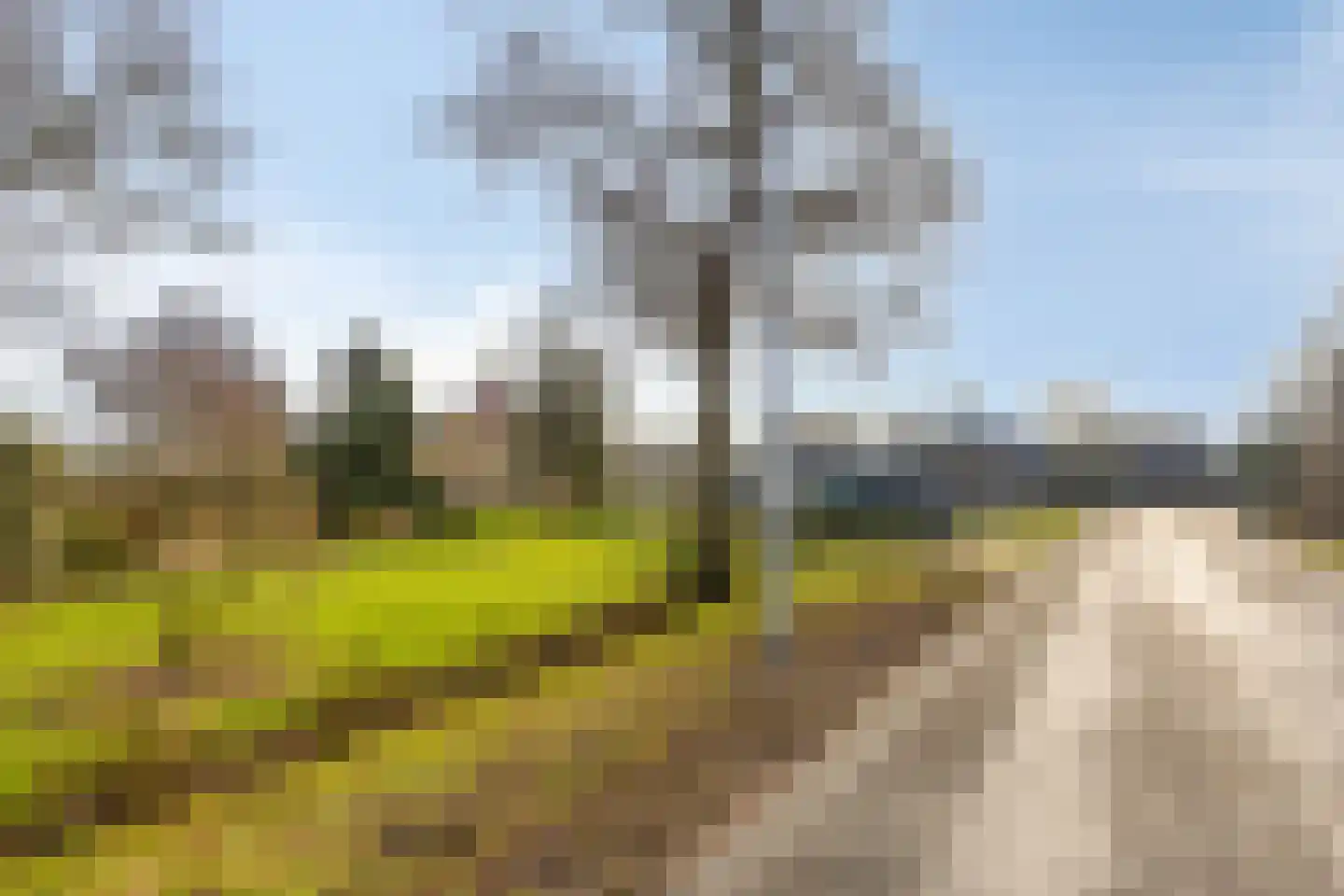 Suderein 9 Tytsjerk thumbnail 33