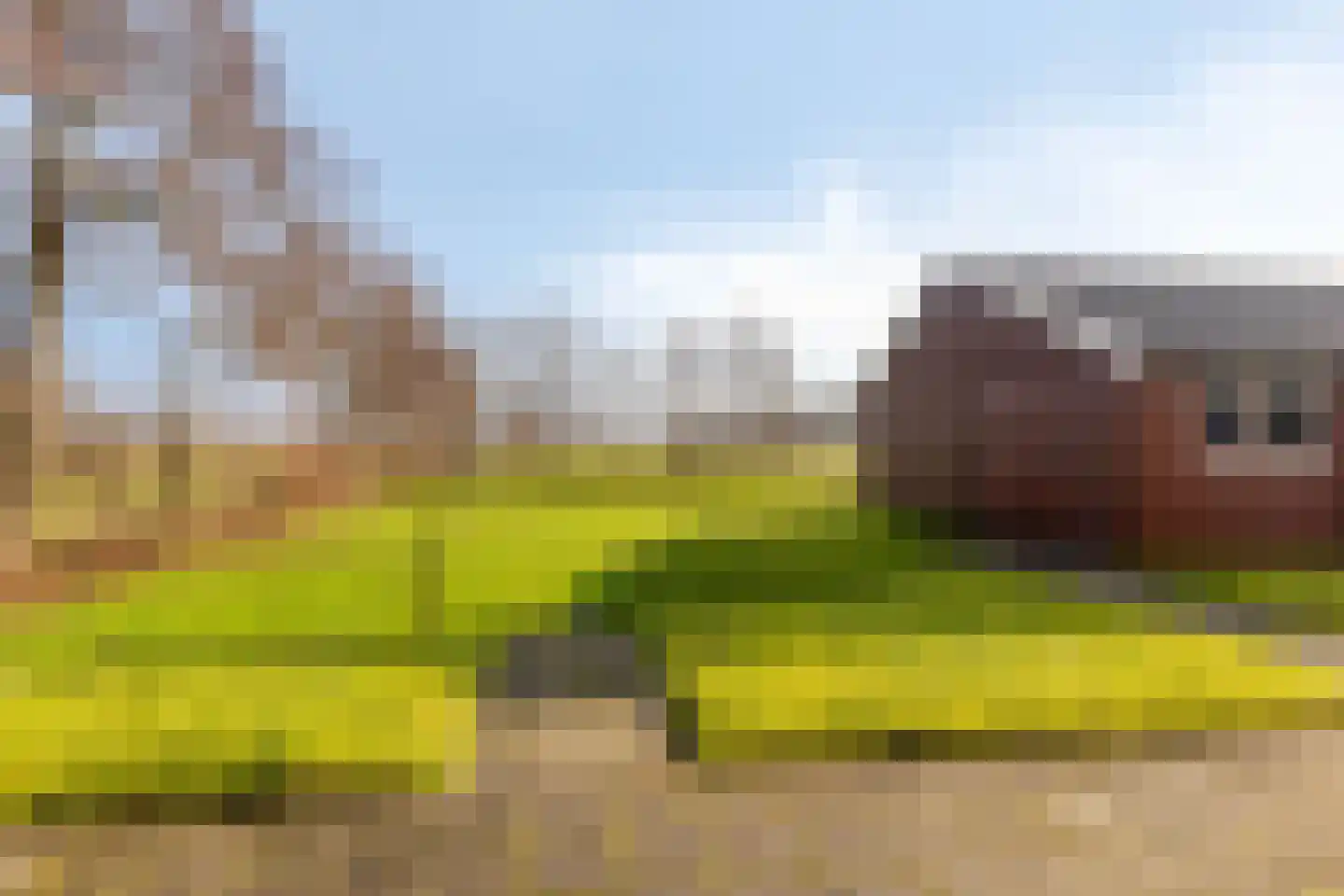 Suderein 9 Tytsjerk thumbnail 6
