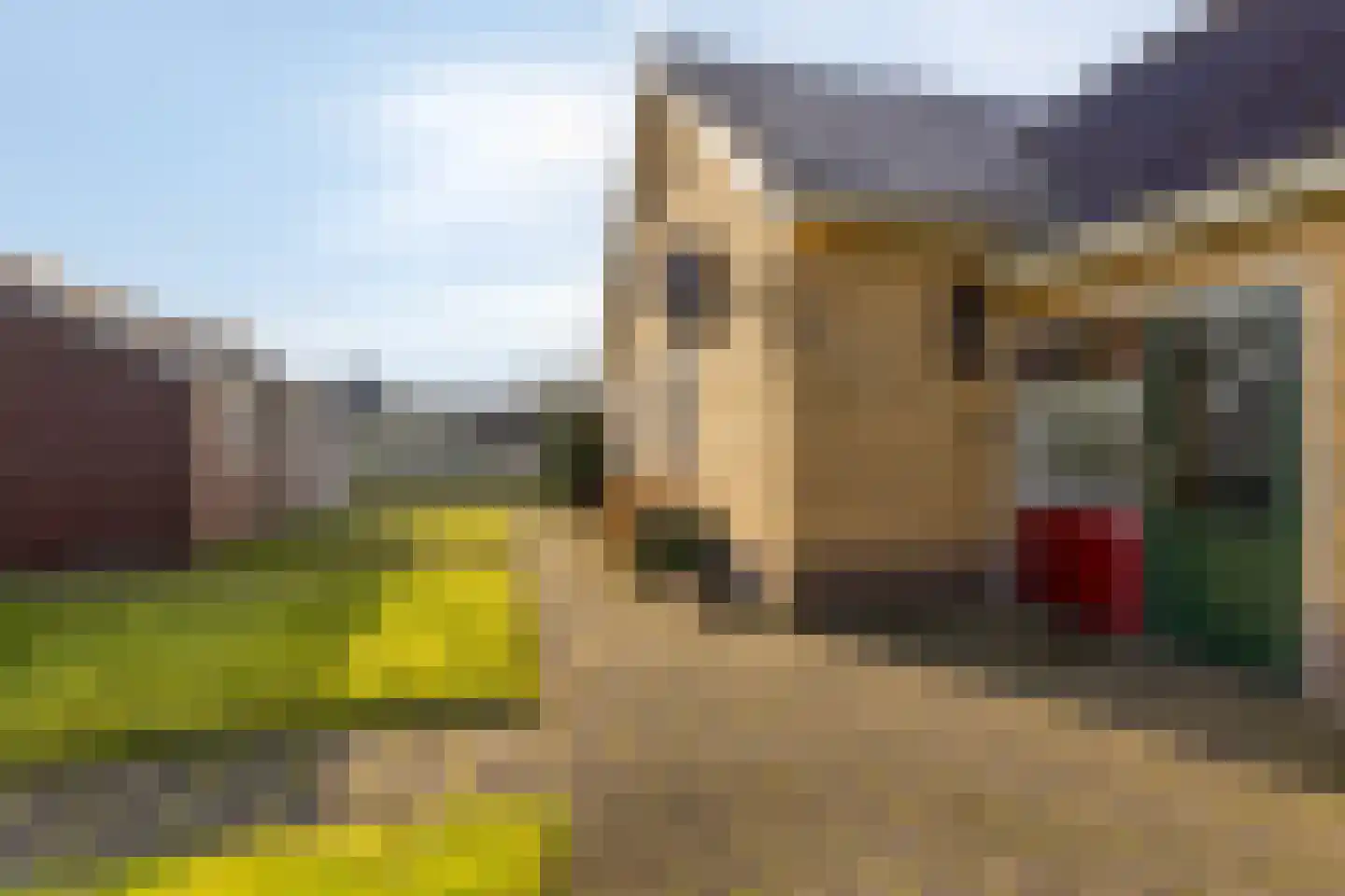 Suderein 9 Tytsjerk thumbnail 7