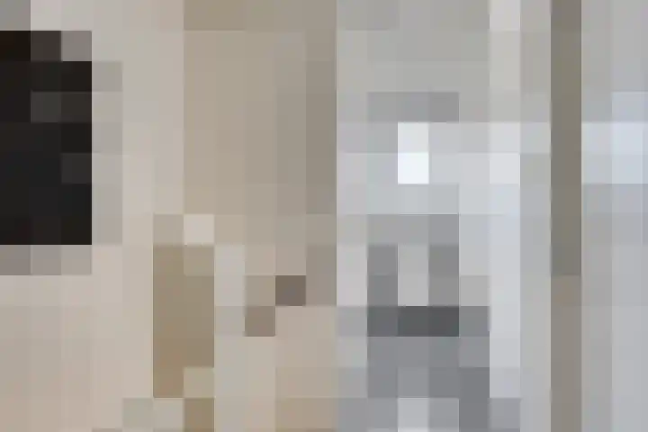 Sudergoweg 42 IJlst thumbnail 17