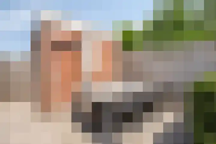 Sudergoweg 42 IJlst thumbnail 23