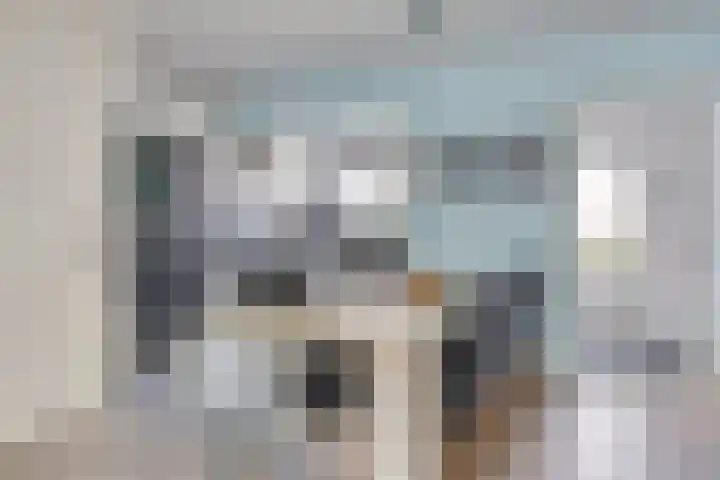 Sudergoweg 42 IJlst thumbnail 5