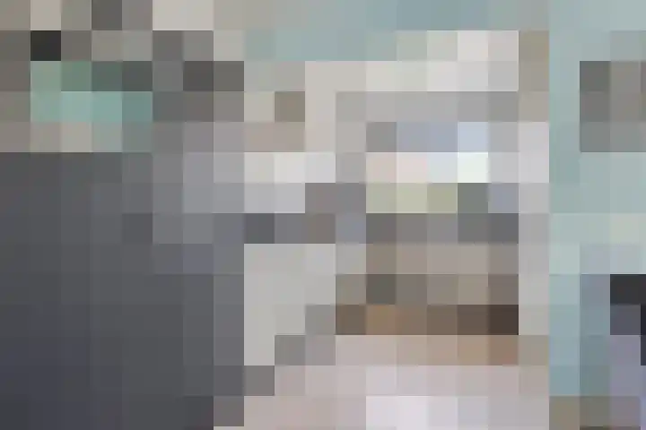 Sudergoweg 42 IJlst thumbnail 6