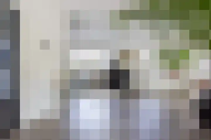 Sudermuda 12 Leeuwarden thumbnail 12