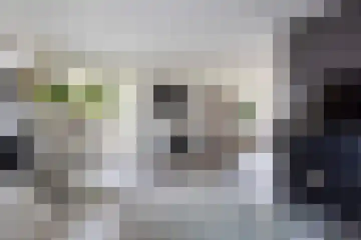 Sudermuda 12 Leeuwarden thumbnail 15