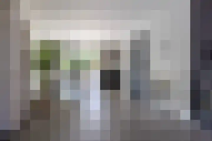 Sudermuda 12 Leeuwarden thumbnail 17