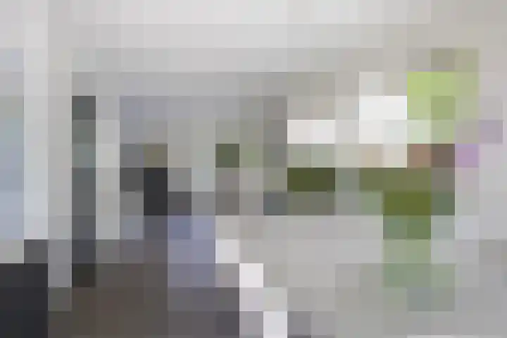 Sudermuda 12 Leeuwarden thumbnail 19