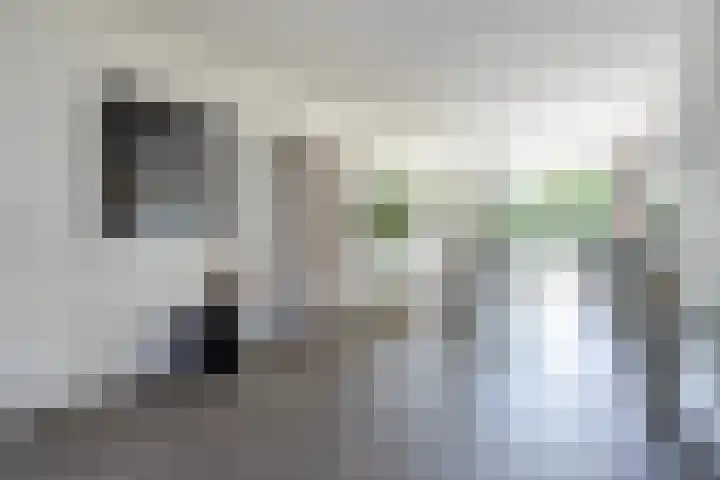 Sudermuda 12 Leeuwarden thumbnail 22