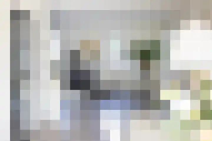 Sudermuda 12 Leeuwarden thumbnail 31