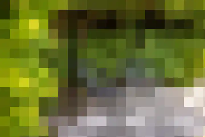 Sudermuda 12 Leeuwarden thumbnail 37