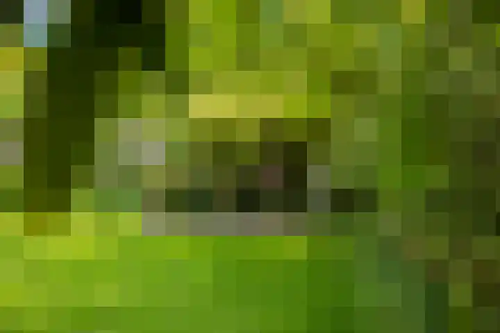 Sudermuda 12 Leeuwarden thumbnail 41