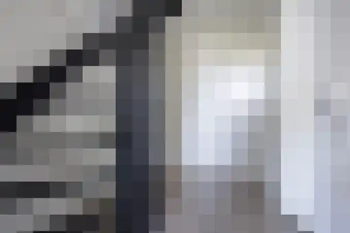 Sudermuda 12 Leeuwarden thumbnail 49