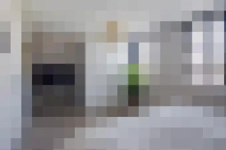 Sudermuda 12 Leeuwarden thumbnail 51