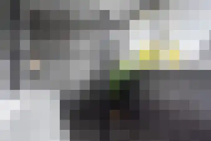 Sudermuda 12 Leeuwarden thumbnail 52