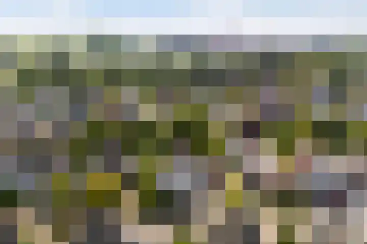 Sudermuda 12 Leeuwarden thumbnail 64